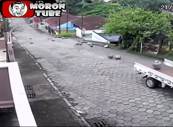 Video :Gas cylinders are distributed freely in Brazil